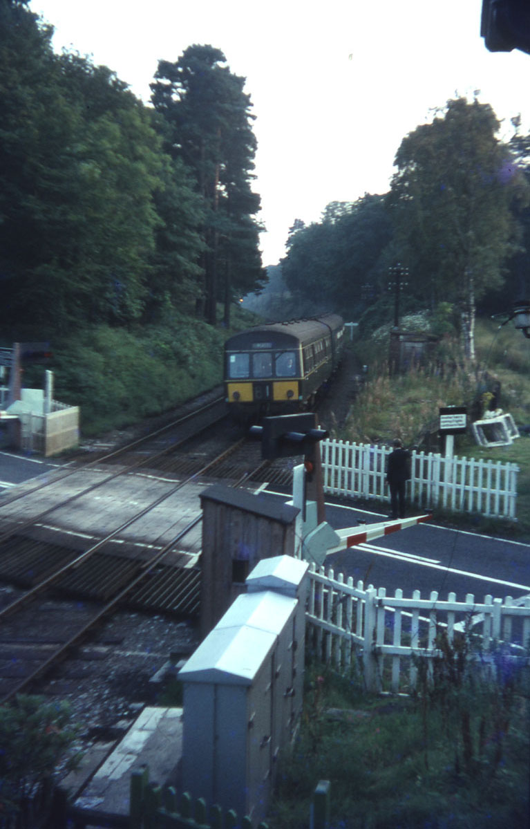 Image 38 of 40  -  162 kB