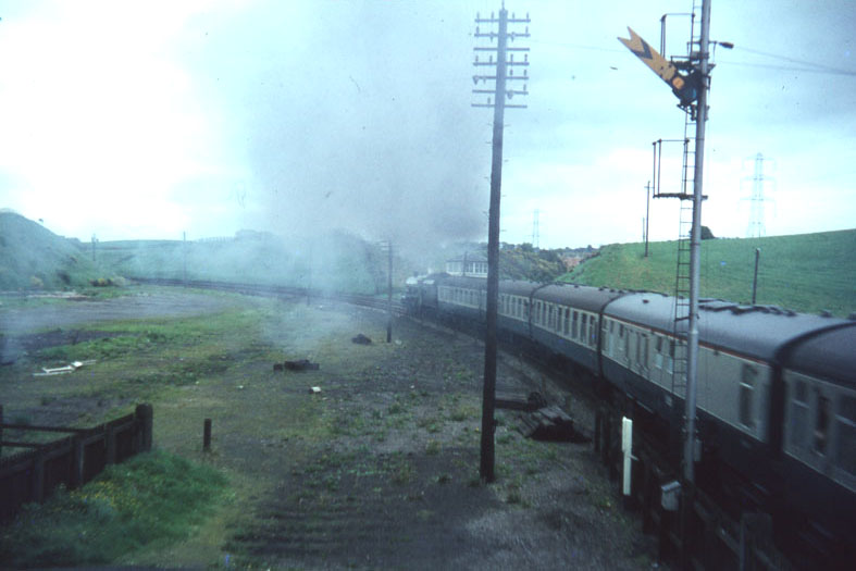 Image 5 of 40  -  75 kB