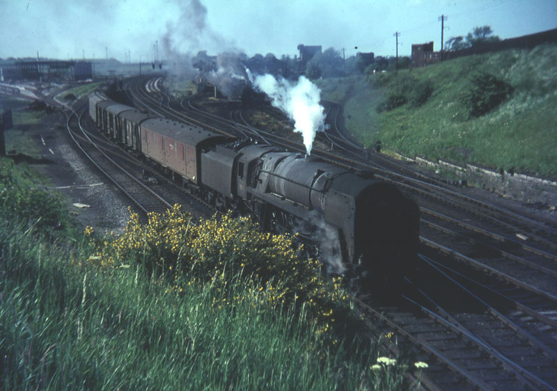 Image 9 of 40  -  119 kB