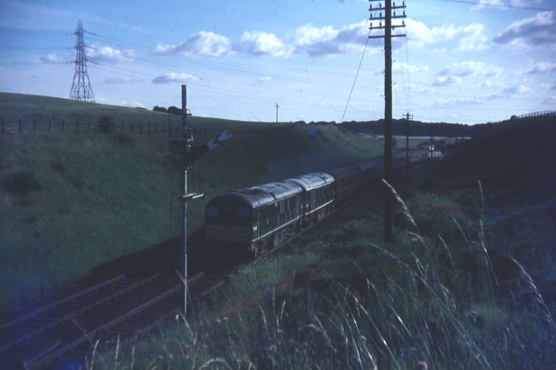 Image 11 of 40  -  75 kB