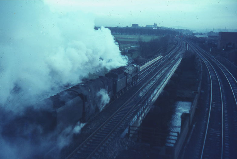 Image 23 of 40  -  64 kB
