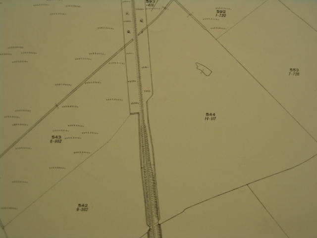 Image 30 of 39  -  21 kB