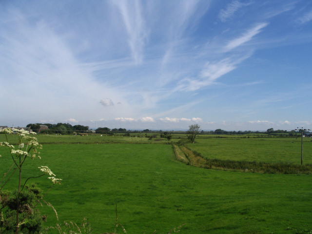 Image 1 of 43  -  37 kB