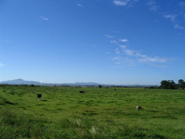 Image 3 of 43  -  38 kB