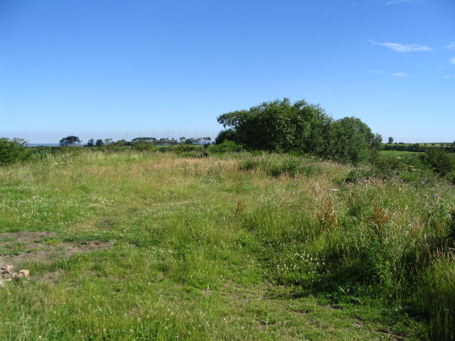 Image 13 of 43  -  63 kB