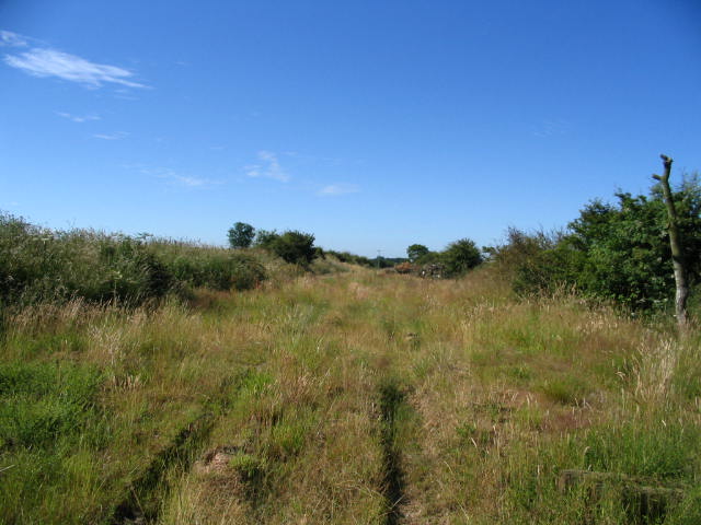 Image 14 of 43  -  57 kB