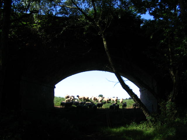 Image 32 of 43  -  47 kB