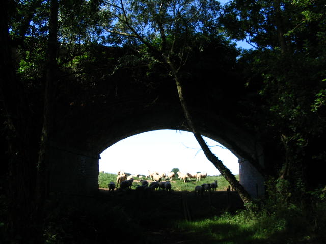 Image 33 of 43  -  54 kB