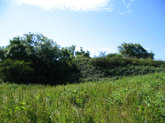 Image 35 of 43  -  76 kB