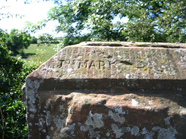 Image 39 of 43  -  95 kB