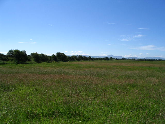 Image 41 of 43  -  52 kB