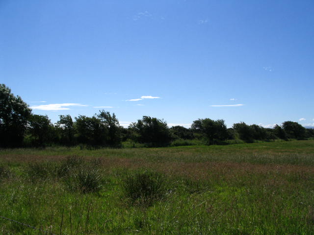 Image 42 of 43  -  45 kB