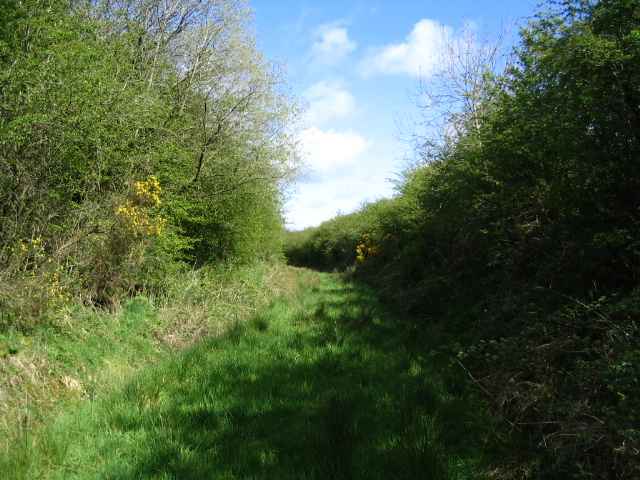 Image 2 of 27  -  242 kB