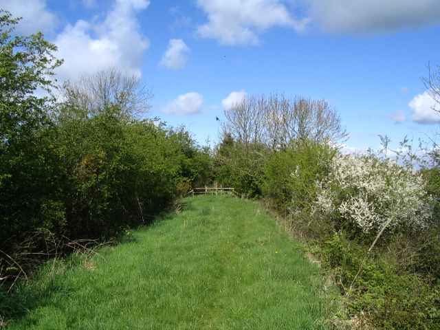 Image 5 of 27  -  228 kB