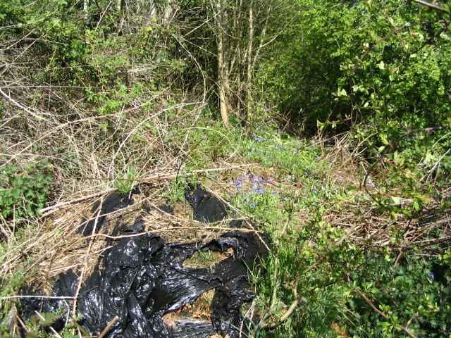 Image 8 of 27  -  355 kB