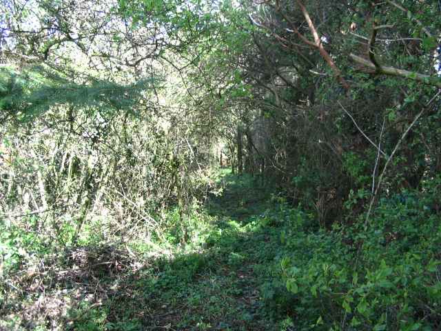 Image 10 of 27  -  317 kB