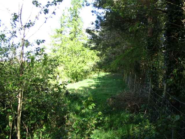 Image 11 of 27  -  279 kB