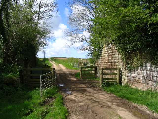 Image 15 of 27  -  268 kB