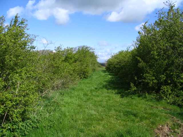 Image 16 of 27  -  247 kB