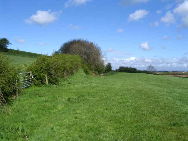 Image 18 of 27  -  186 kB