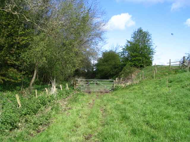 Image 19 of 27  -  260 kB