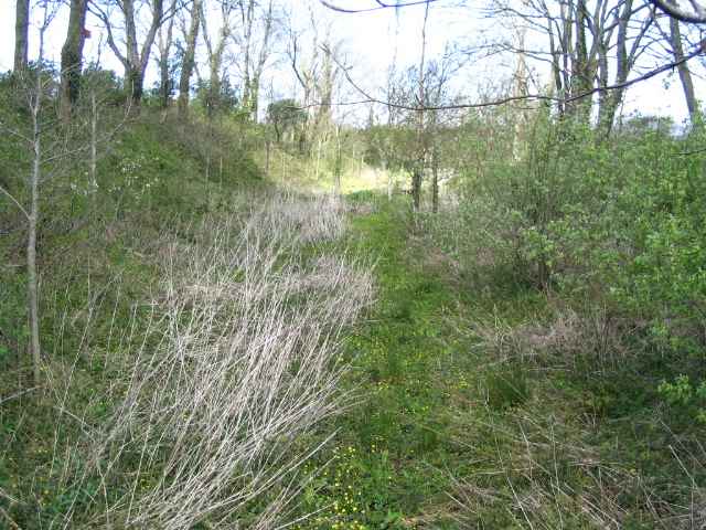 Image 21 of 27  -  294 kB