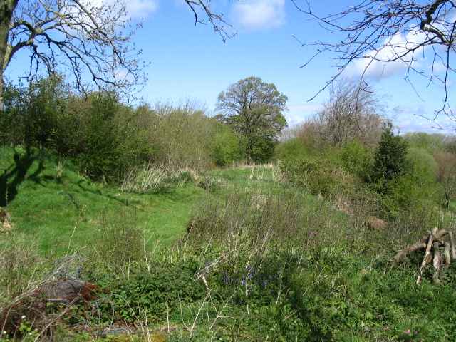 Image 22 of 27  -  271 kB