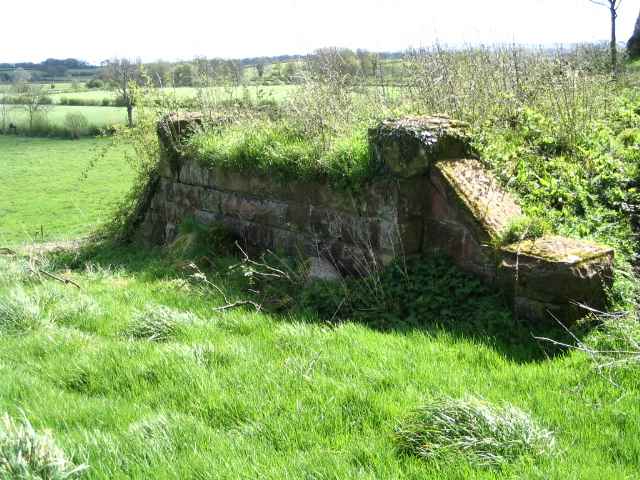 Image 23 of 27  -  272 kB