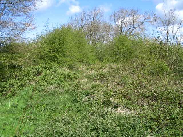 Image 24 of 27  -  301 kB