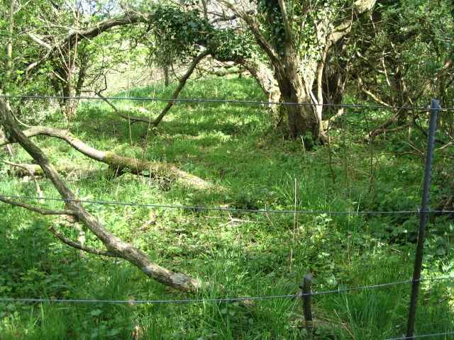 Image 25 of 27  -  321 kB