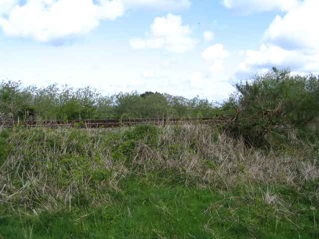 Image 27 of 27  -  203 kB