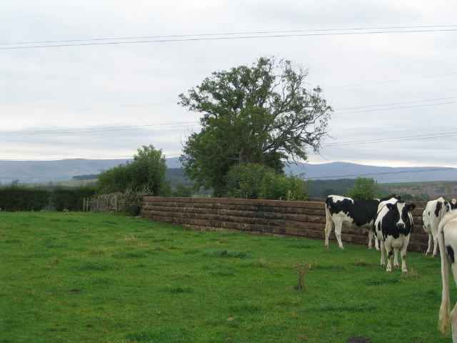 Image 3 of 30  -  159 kB