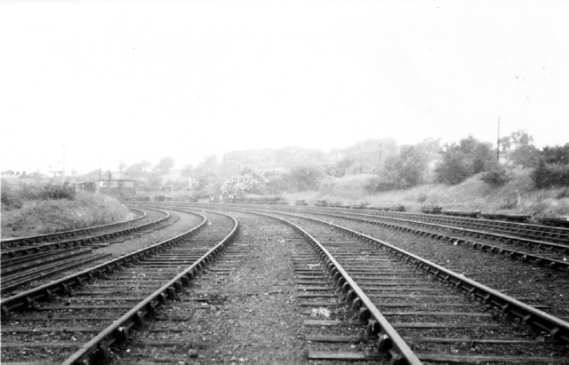 Image 11 of 20  -  91 kB