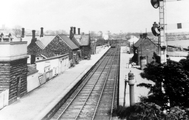Image 7 of 20  -  103 kB
