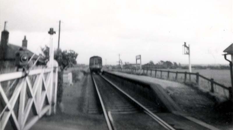 Image 12 of 23  -  39 kB