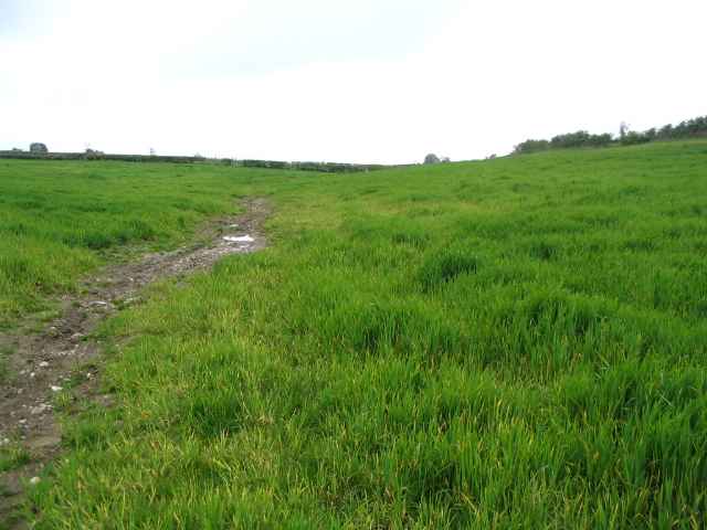 Image 1 of 26  -  187 kB