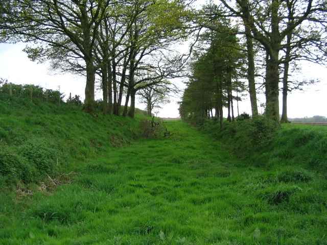 Image 6 of 26  -  259 kB