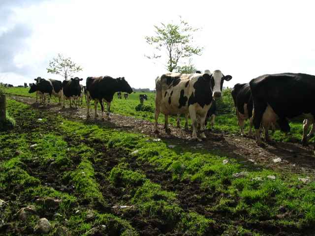 Image 9 of 26  -  211 kB