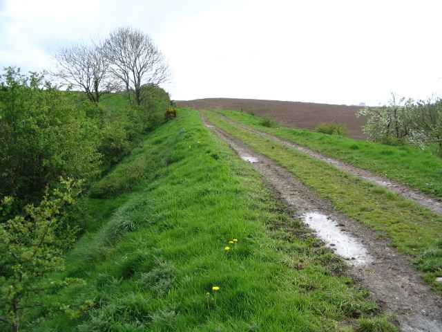 Image 10 of 26  -  207 kB