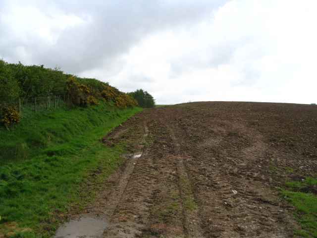 Image 11 of 26  -  169 kB