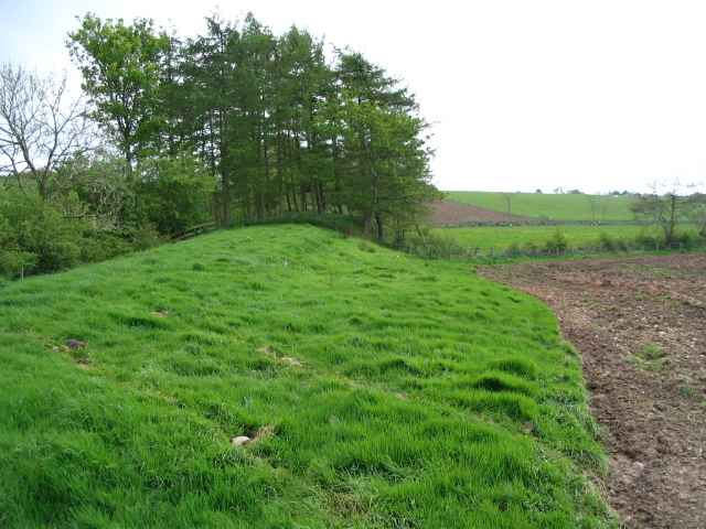 Image 12 of 26  -  217 kB