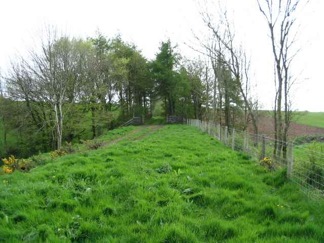 Image 15 of 26  -  226 kB