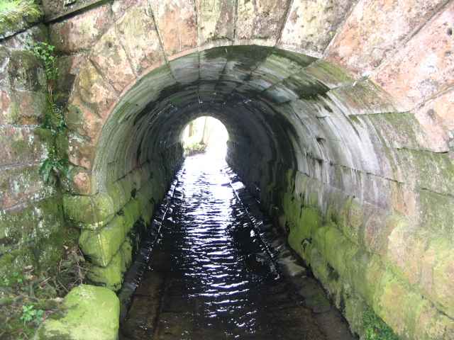 Image 17 of 26  -  246 kB