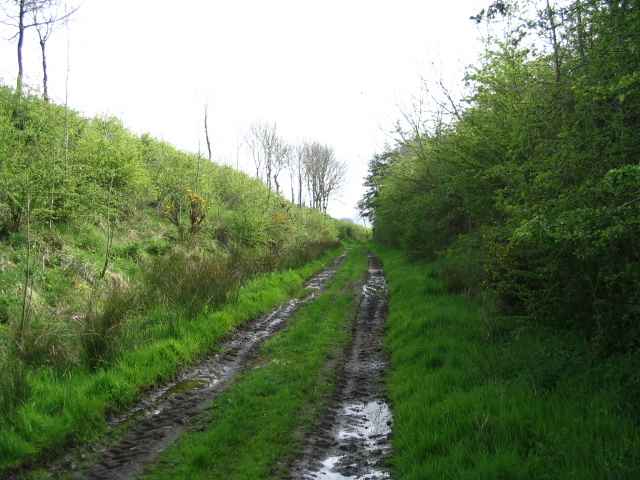 Image 20 of 26  -  209 kB