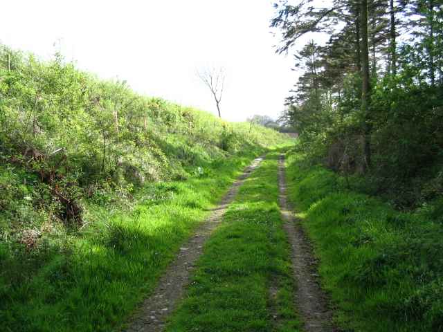 Image 21 of 26  -  235 kB