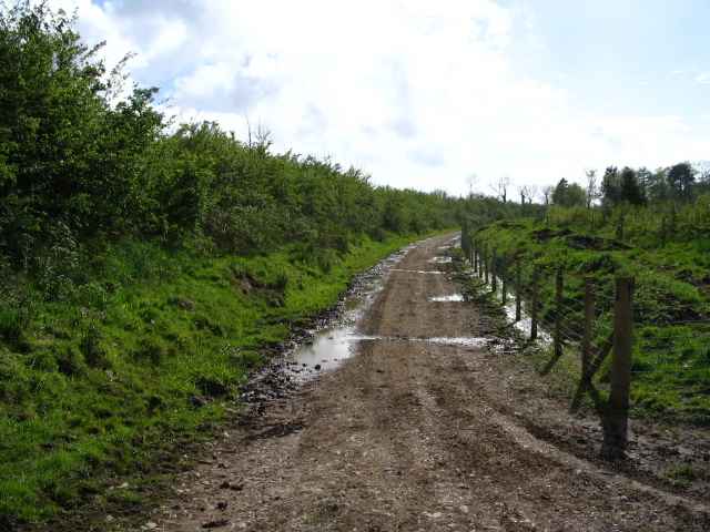 Image 23 of 26  -  222 kB