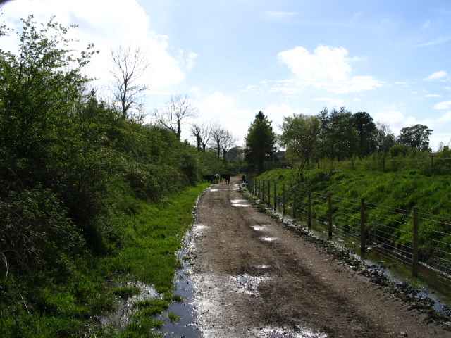 Image 24 of 26  -  215 kB