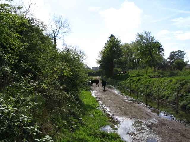 Image 25 of 26  -  240 kB