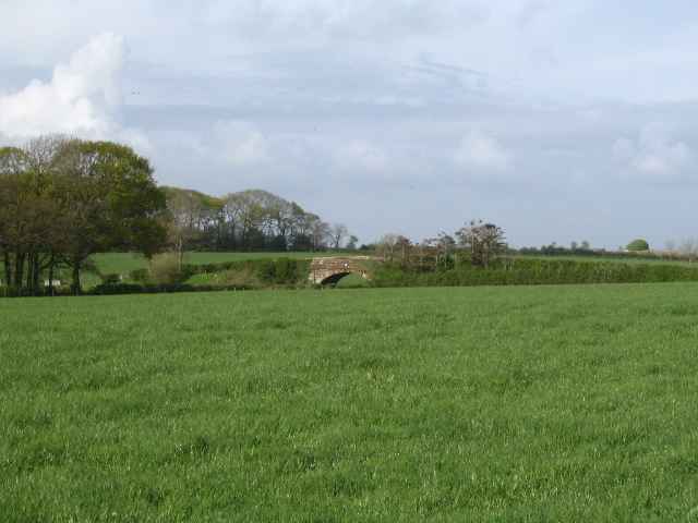 Image 26 of 26  -  170 kB