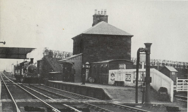 Image 5 of 5  -  96 kB